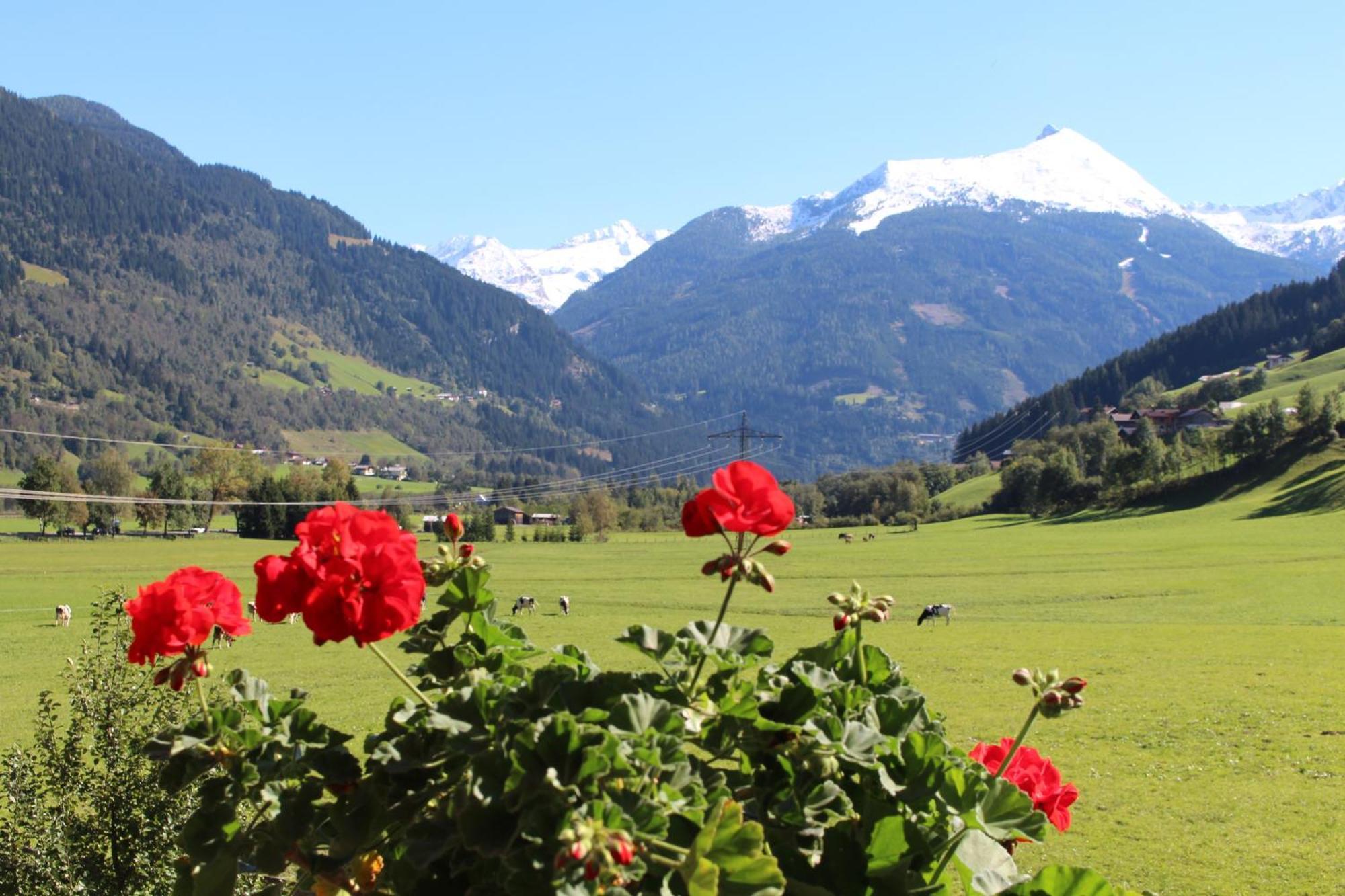 Landhaus Schwaiger Bad Hofgastein Buitenkant foto